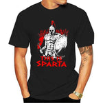 T-Shirt Spartiate Noir Héros De Sparte