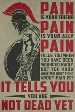 Tableau Spartiate Pain Is Your Friend